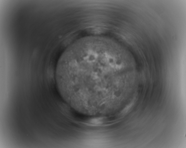 X0000089880178200707192003