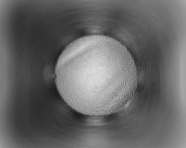 X0000089880179200707192003