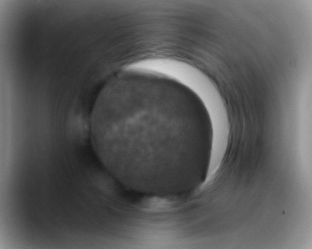 X0000089880180200707192003