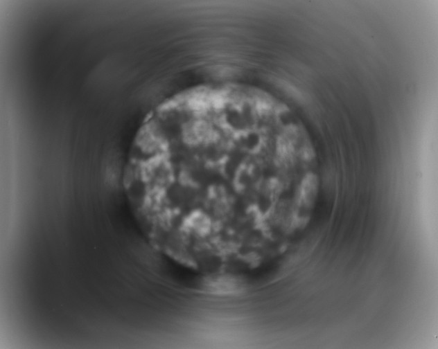 X0000089880181200707192003