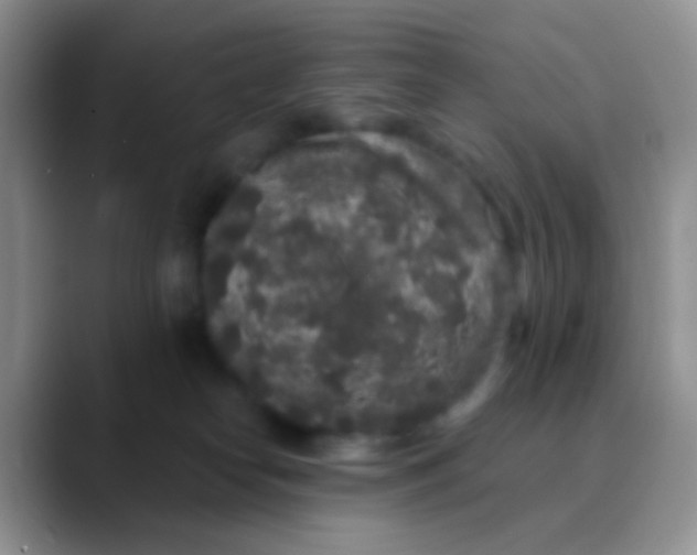 X0000089880182200707192003