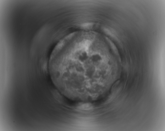 X0000089880185200707192003