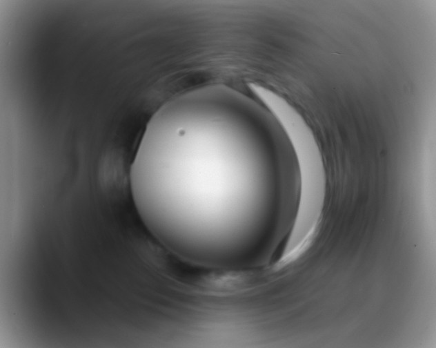 X0000089880186200707192003