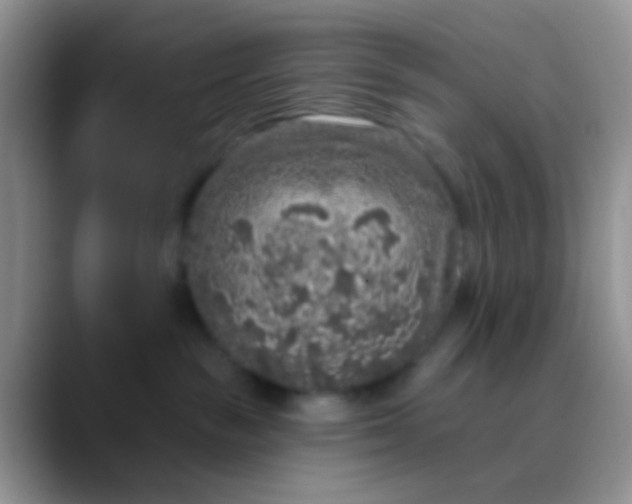 X0000089880189200707192003