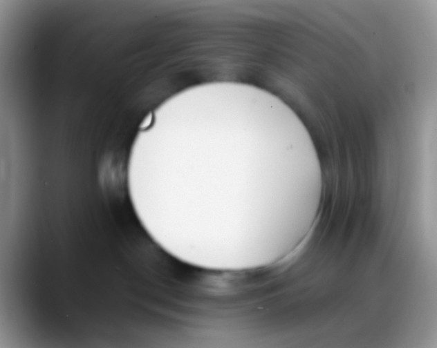 X0000089880190200707192003