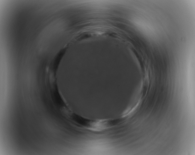 X0000089880191200707192003