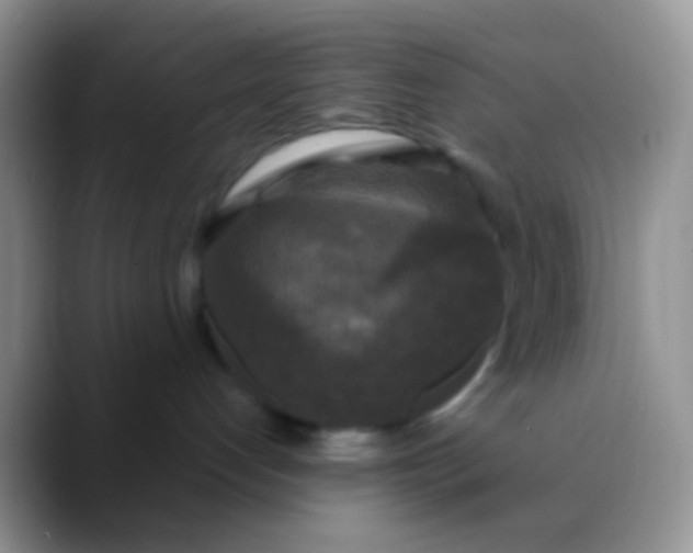 X0000089880192200707192003