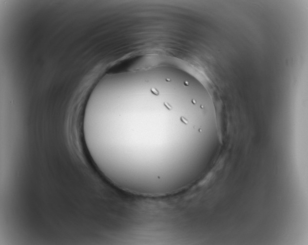 X0000089880193200707192002