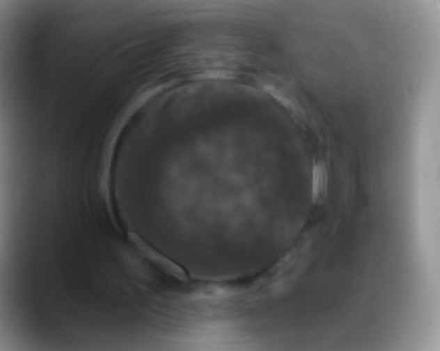 X0000089880195200707192002