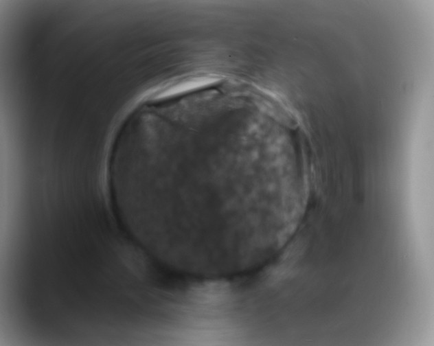 X0000089880196200707192002