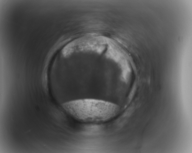 X0000089880198200707192002