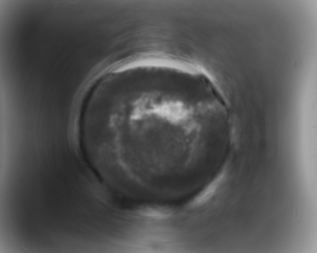 X0000089880199200707192002