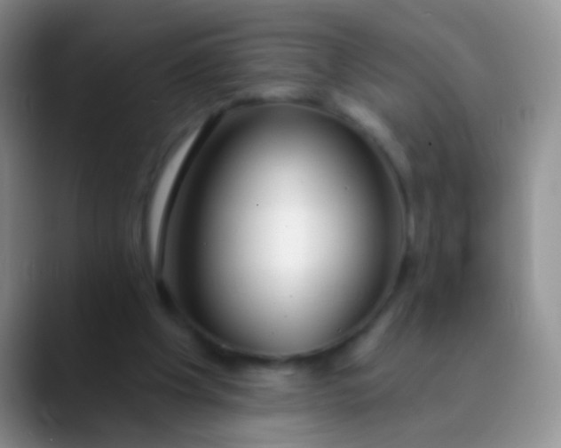 X0000089880201200707192002