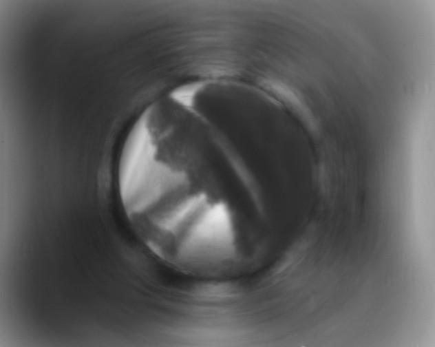 X0000089880202200707192002