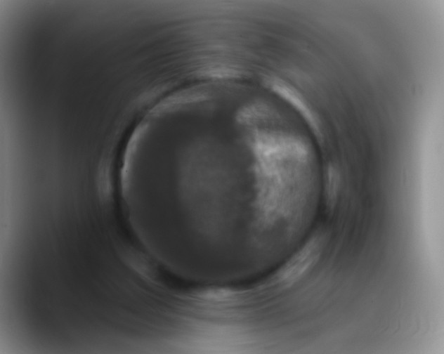 X0000089880203200707192002