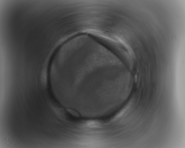 X0000089880204200707192002