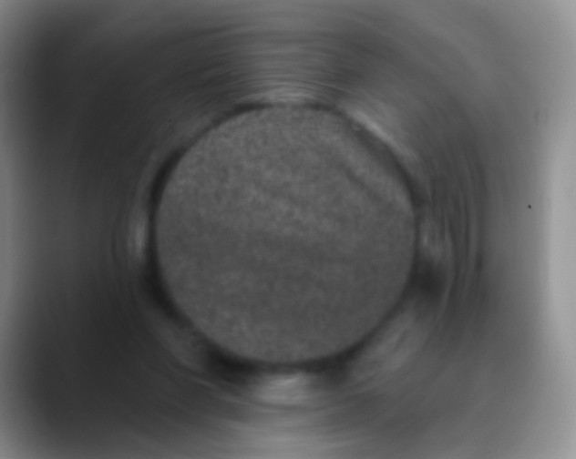 X0000089880206200707192002