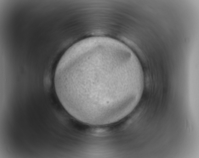 X0000089880208200707192002