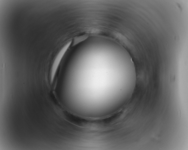 X0000089880209200707192002