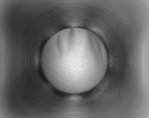 X0000089880210200707192002