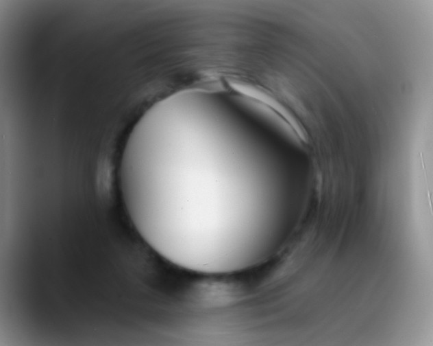 X0000089880211200707192002