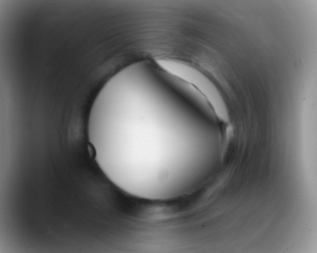 X0000089880212200707192002