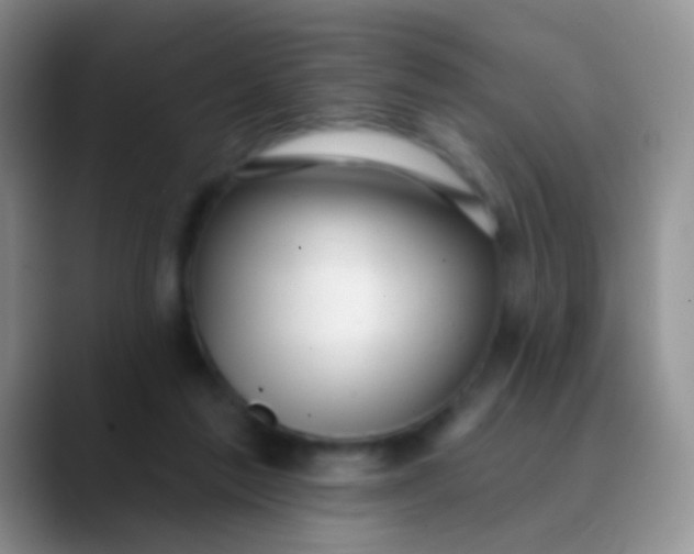 X0000089880213200707192002