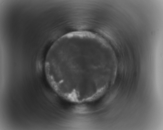 X0000089880214200707192002