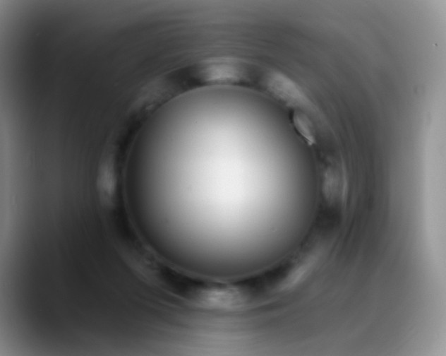 X0000089880215200707192002