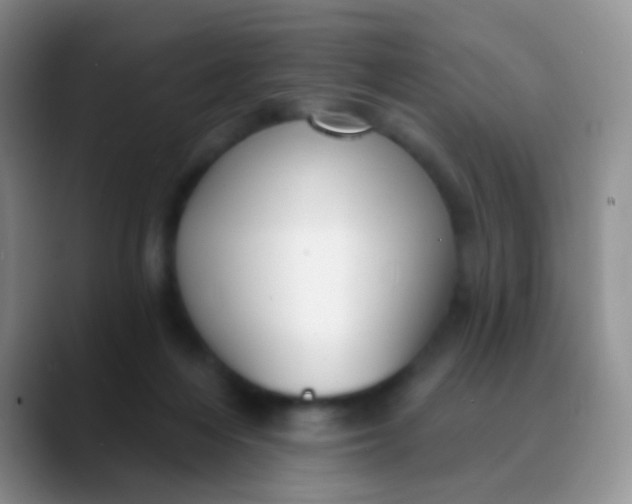 X0000089880216200707192002