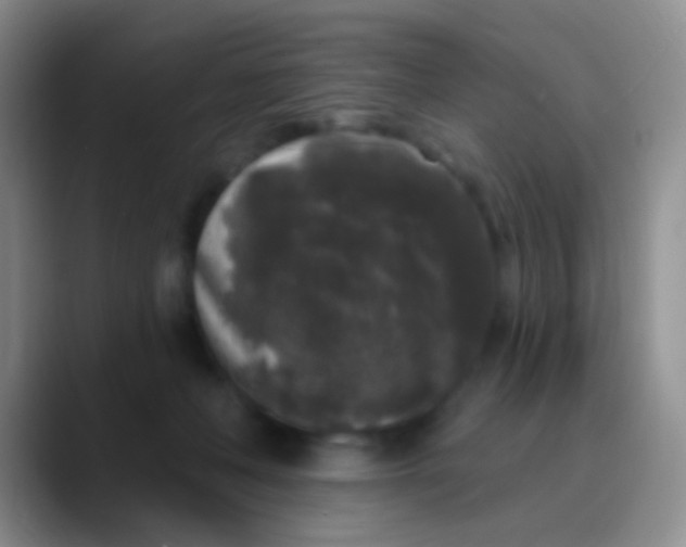 X0000089880222200707192002