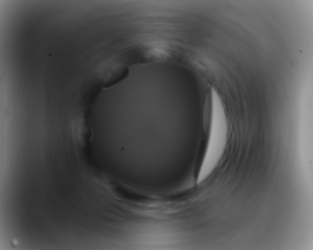 X0000089880223200707192002