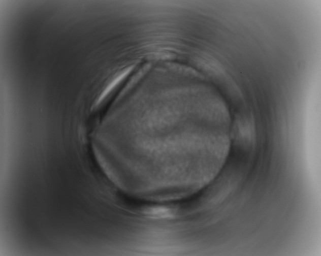 X0000089880224200707192002