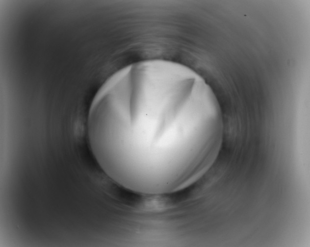 X0000089880226200707192002