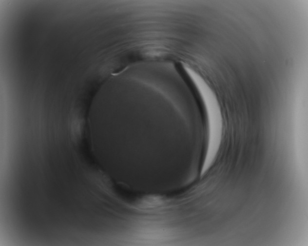 X0000089880227200707192002