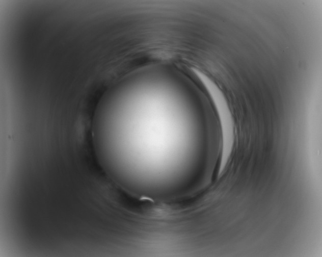 X0000089880229200707192002