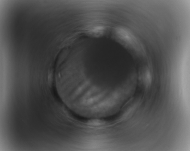 X0000089880231200707192002