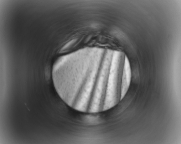 X0000089880232200707192002