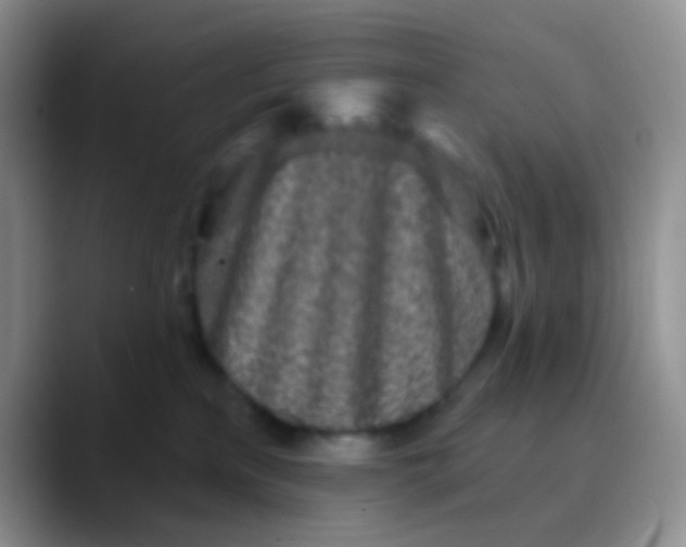 X0000089880233200707192002