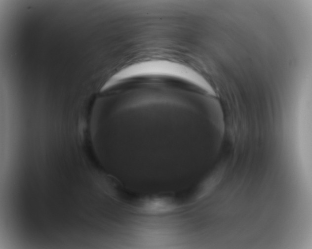 X0000089880235200707192002