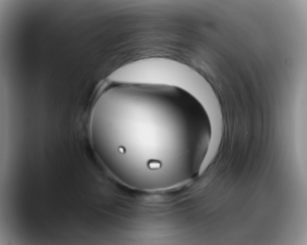 X0000089880237200707192002