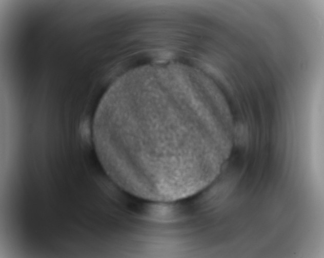 X0000089880238200707192002