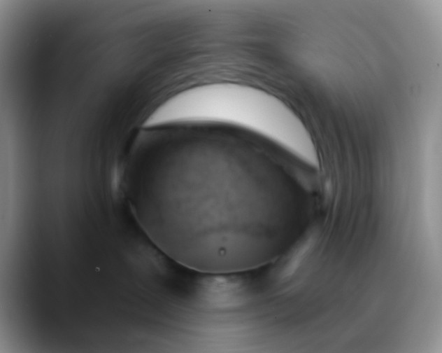 X0000089880239200707192002