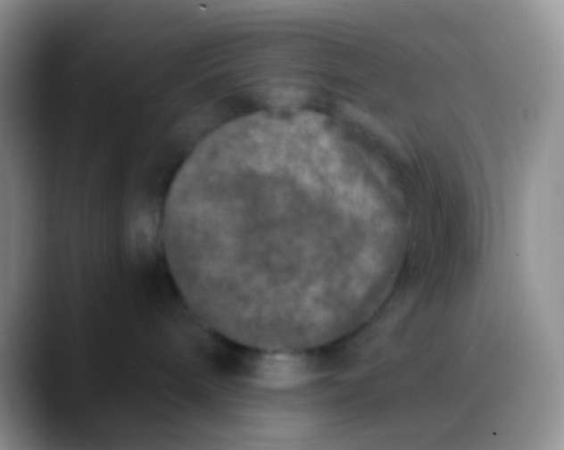 X0000089880240200707192002