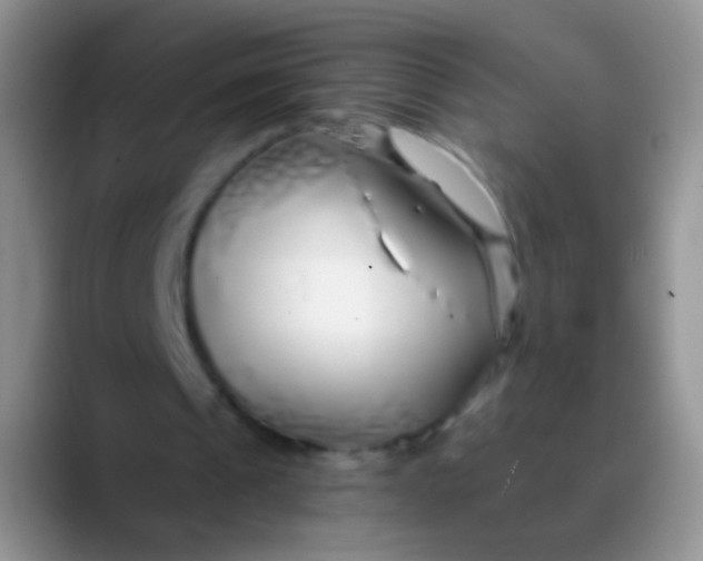 X0000089880241200707192001