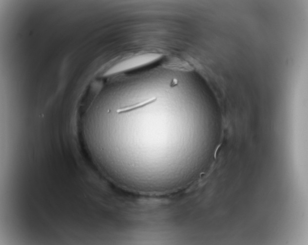 X0000089880242200707192001