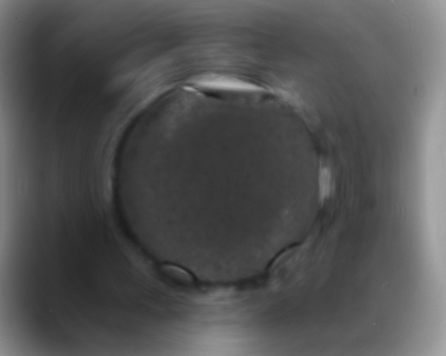 X0000089880243200707192001