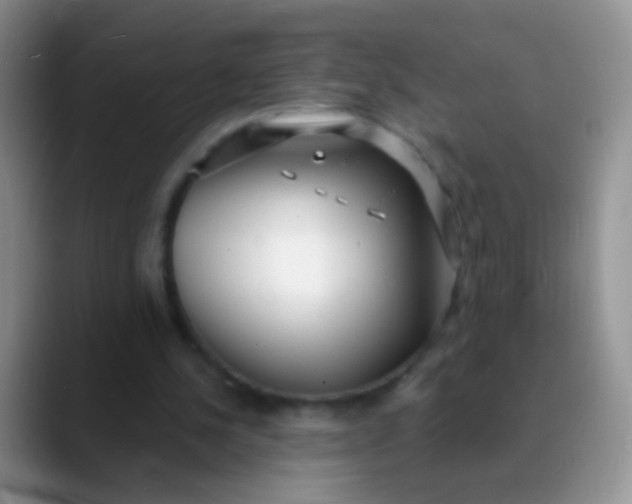 X0000089880244200707192001