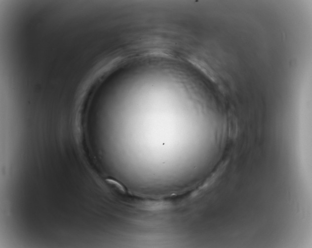 X0000089880245200707192001