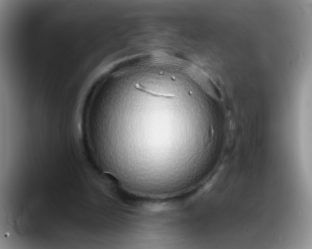 X0000089880246200707192001